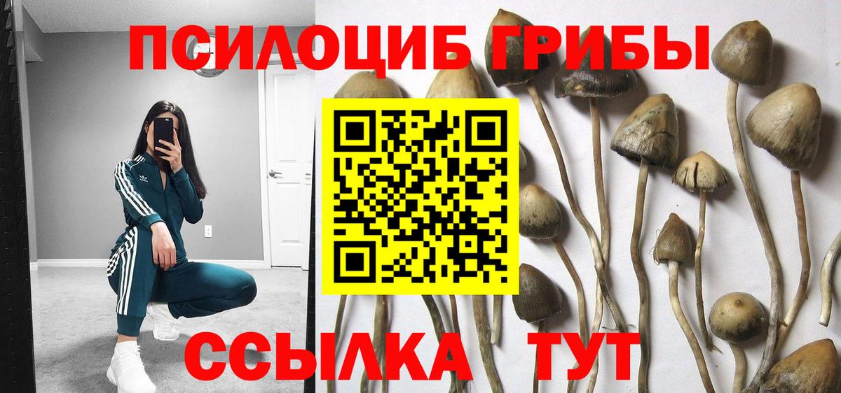 Галлюциногенные грибы прущие грибы Рыбинск