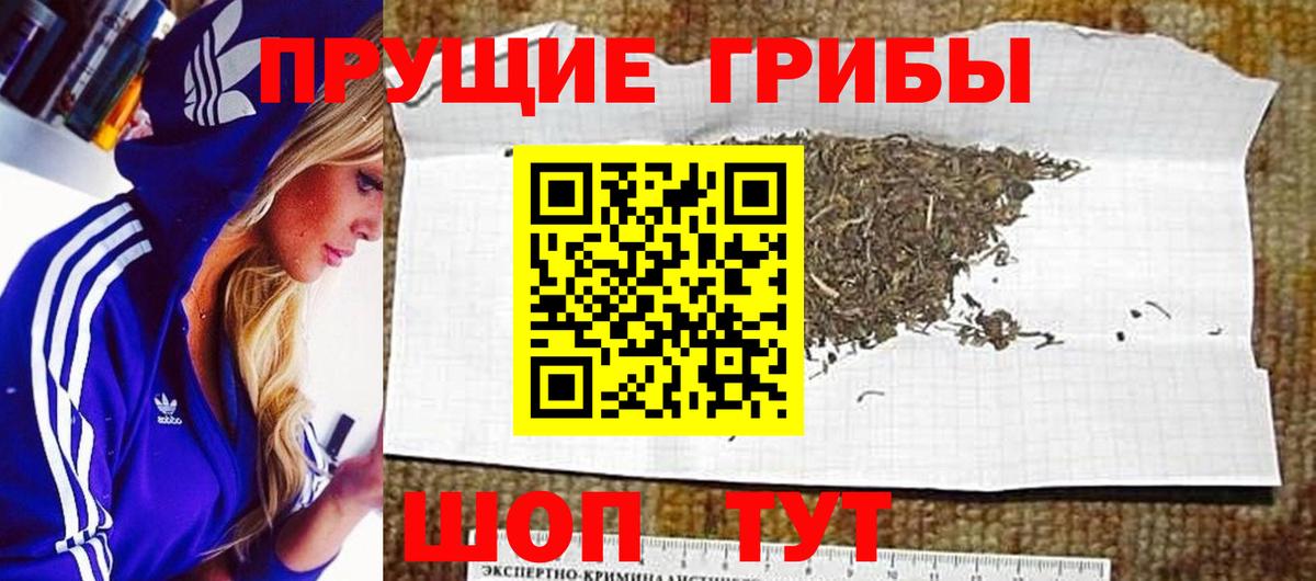 Рыбинск  купить   Вход с VPN  Псилоцибиновые грибы MAGIC MUSHROOMS 
